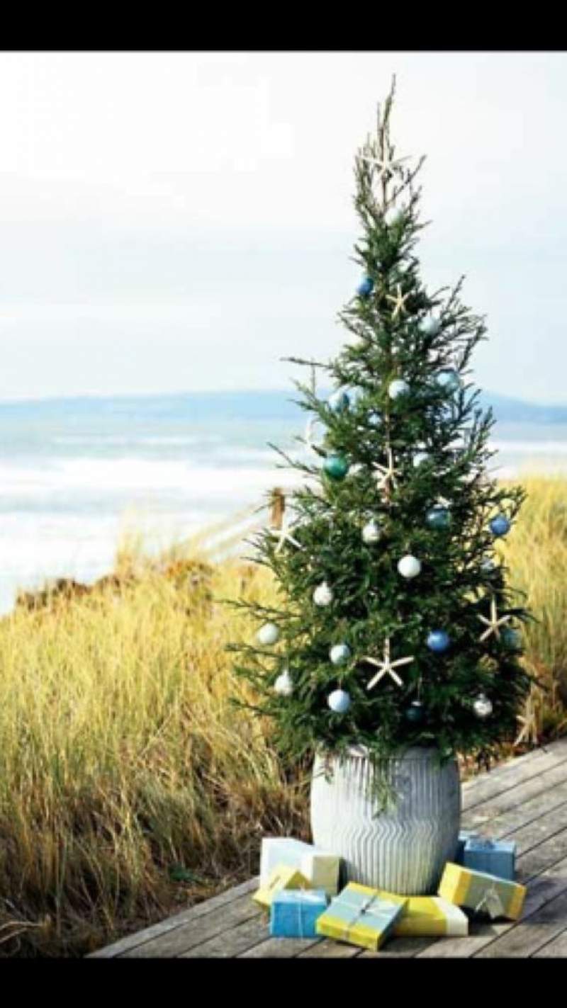 Seaside Christmas party décor ideas