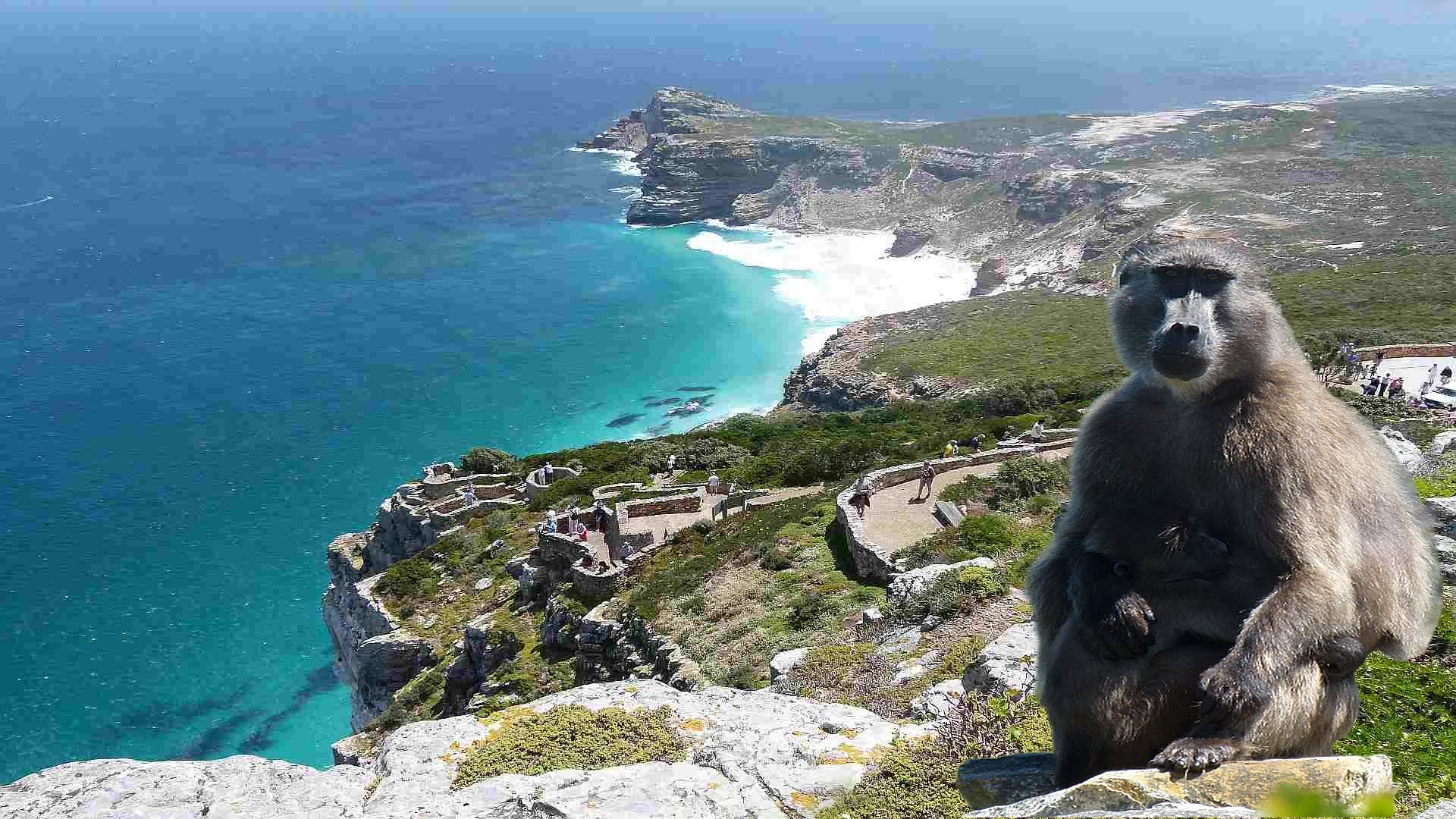 Places to visit in Cape Town South Africa 