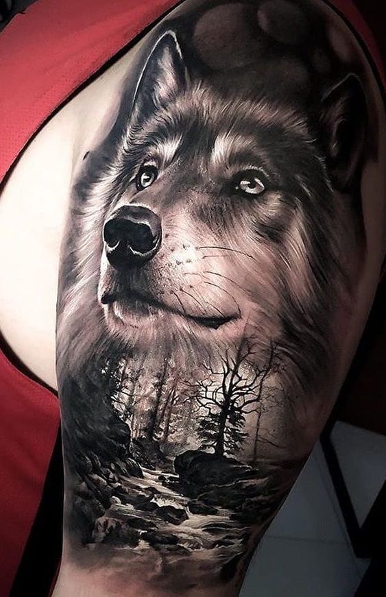 wolf tattoo design