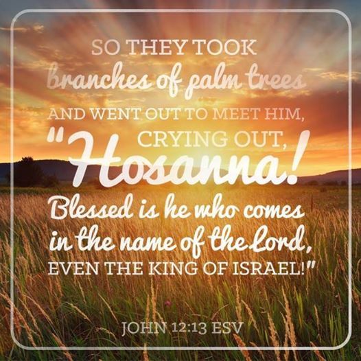 Palm Sunday Quotes