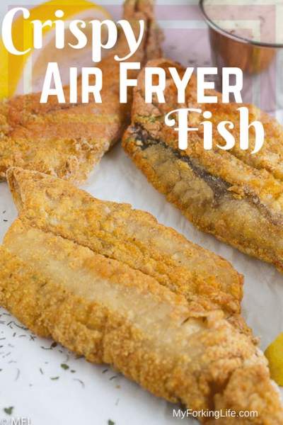 Summer Air Fryer Recipes