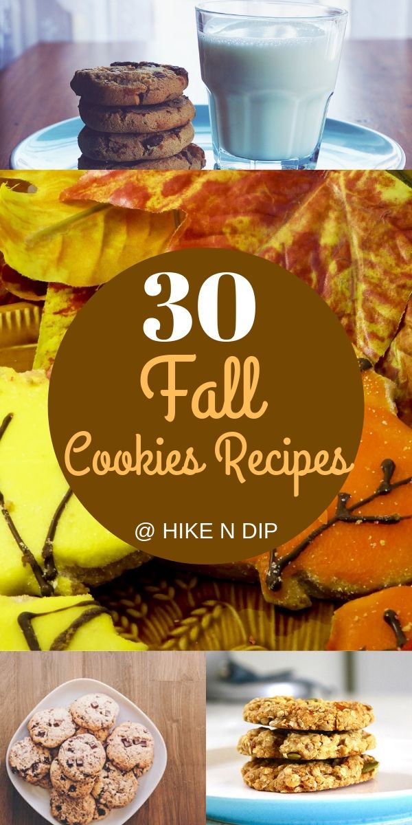 Fall Cookies recipes