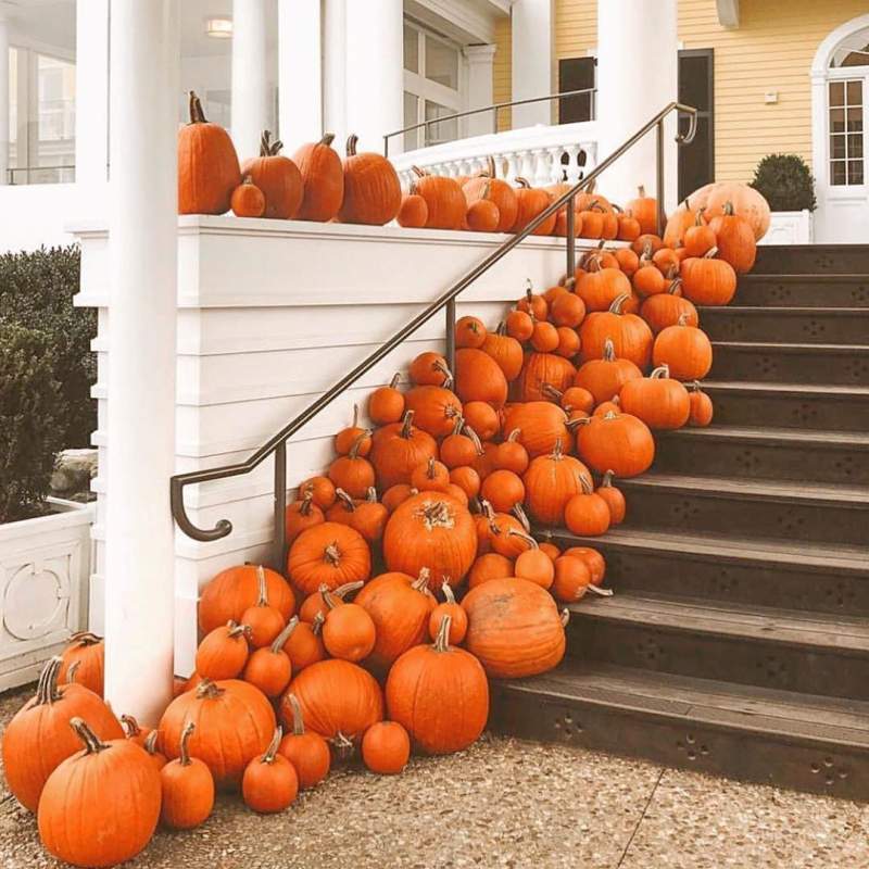 Pumpkin Halloween Decor