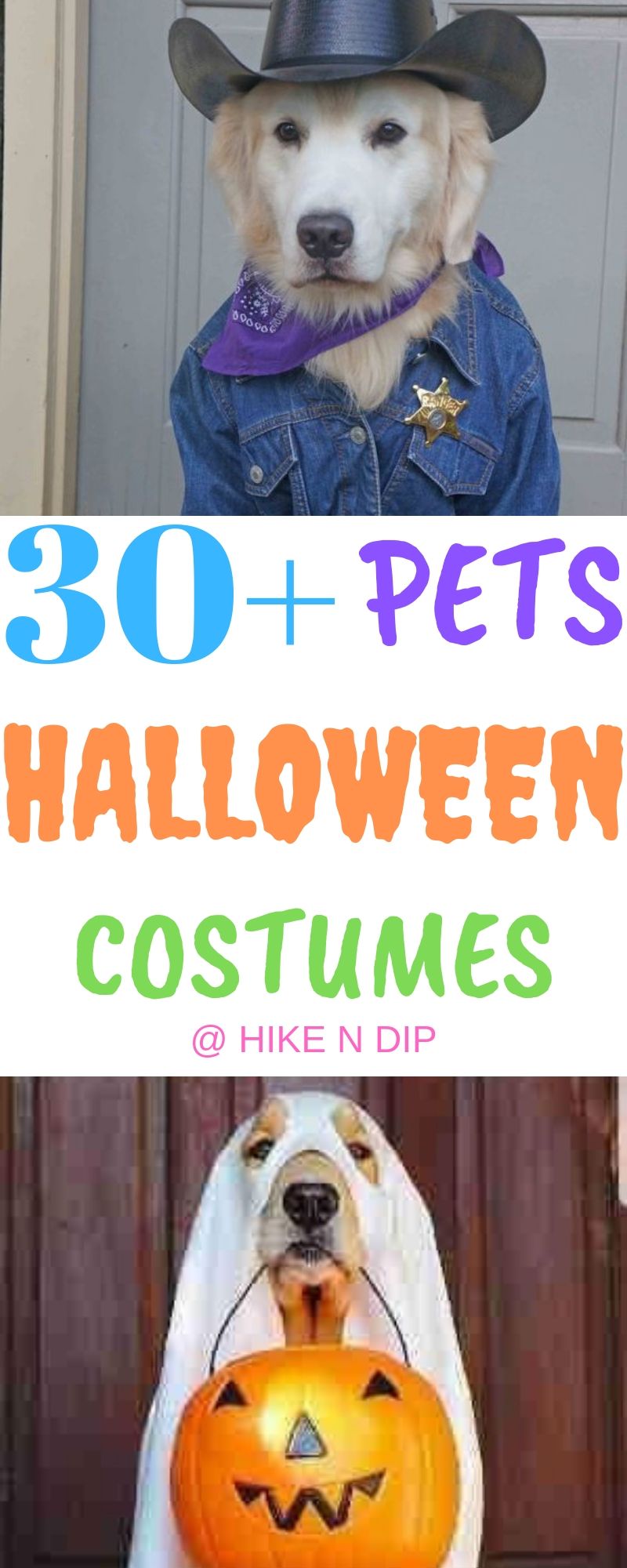 Pets Halloween Costumes