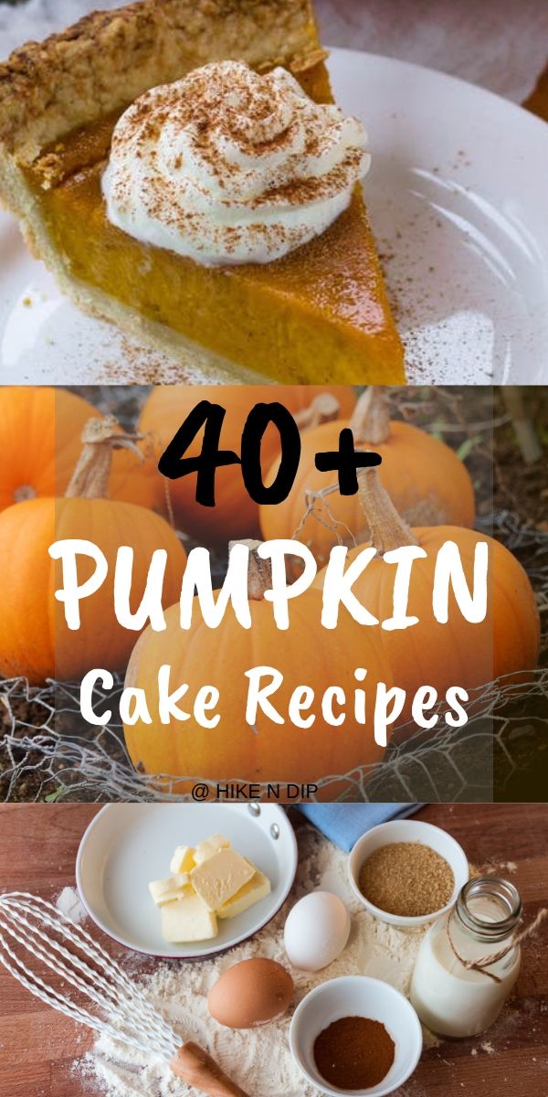 Pumpkin cake recipes