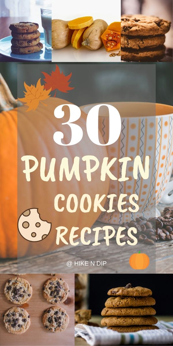 Pumpkin cookies recipes