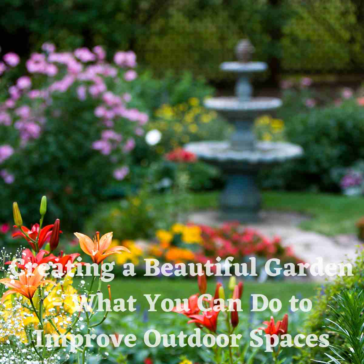 Creating a Beautiful Garden