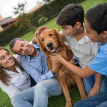Get the Best Protection for Your Family with a Protection Dog
