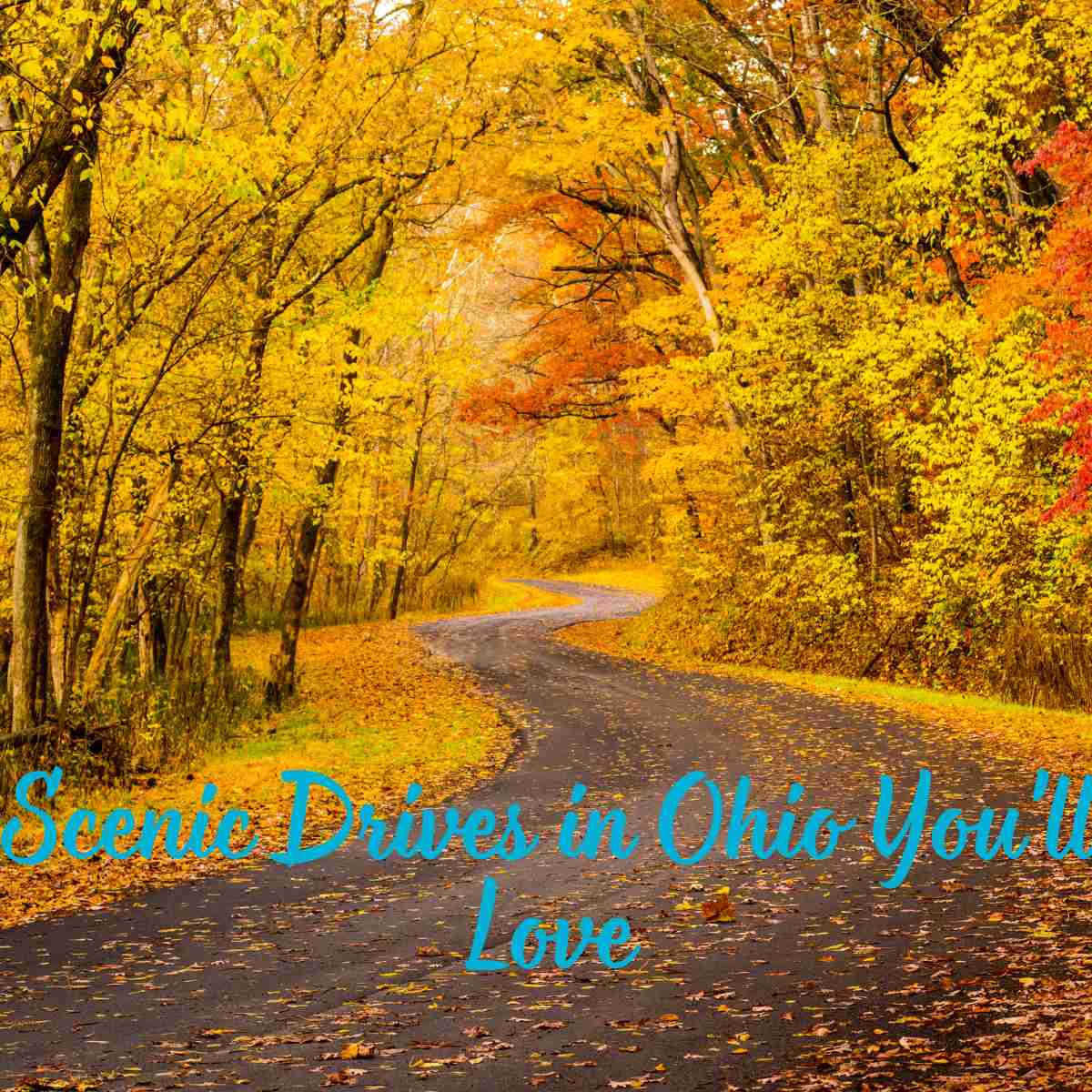 Scenic Drives in Ohio You'll Love