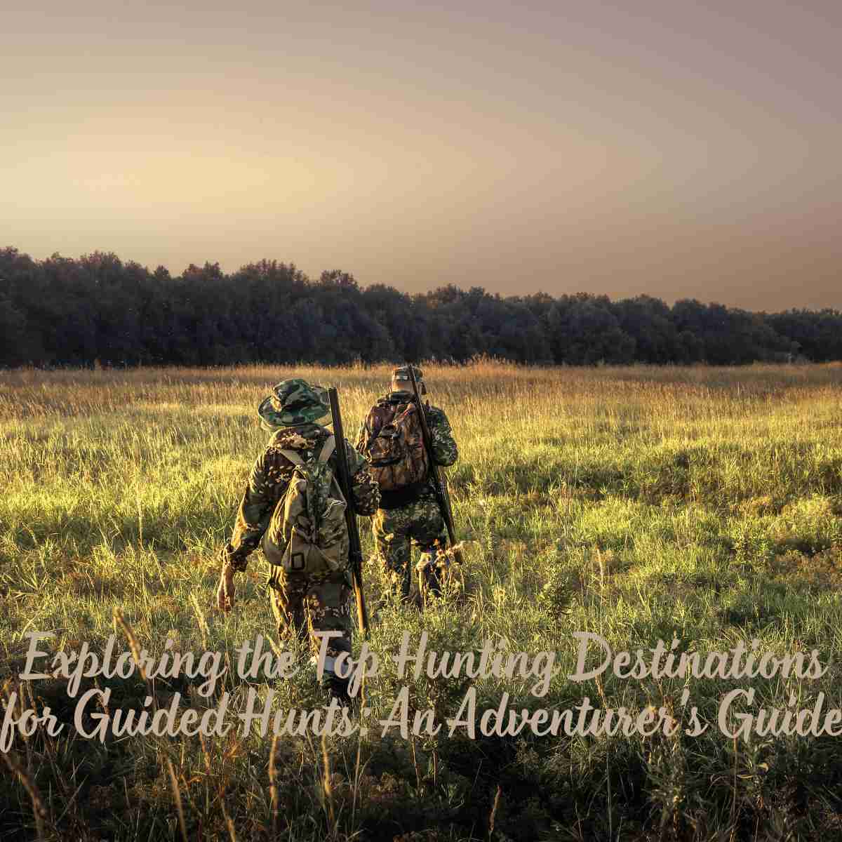Exploring the Top Hunting Destinations for Guided Hunts: An Adventurer's Guide
