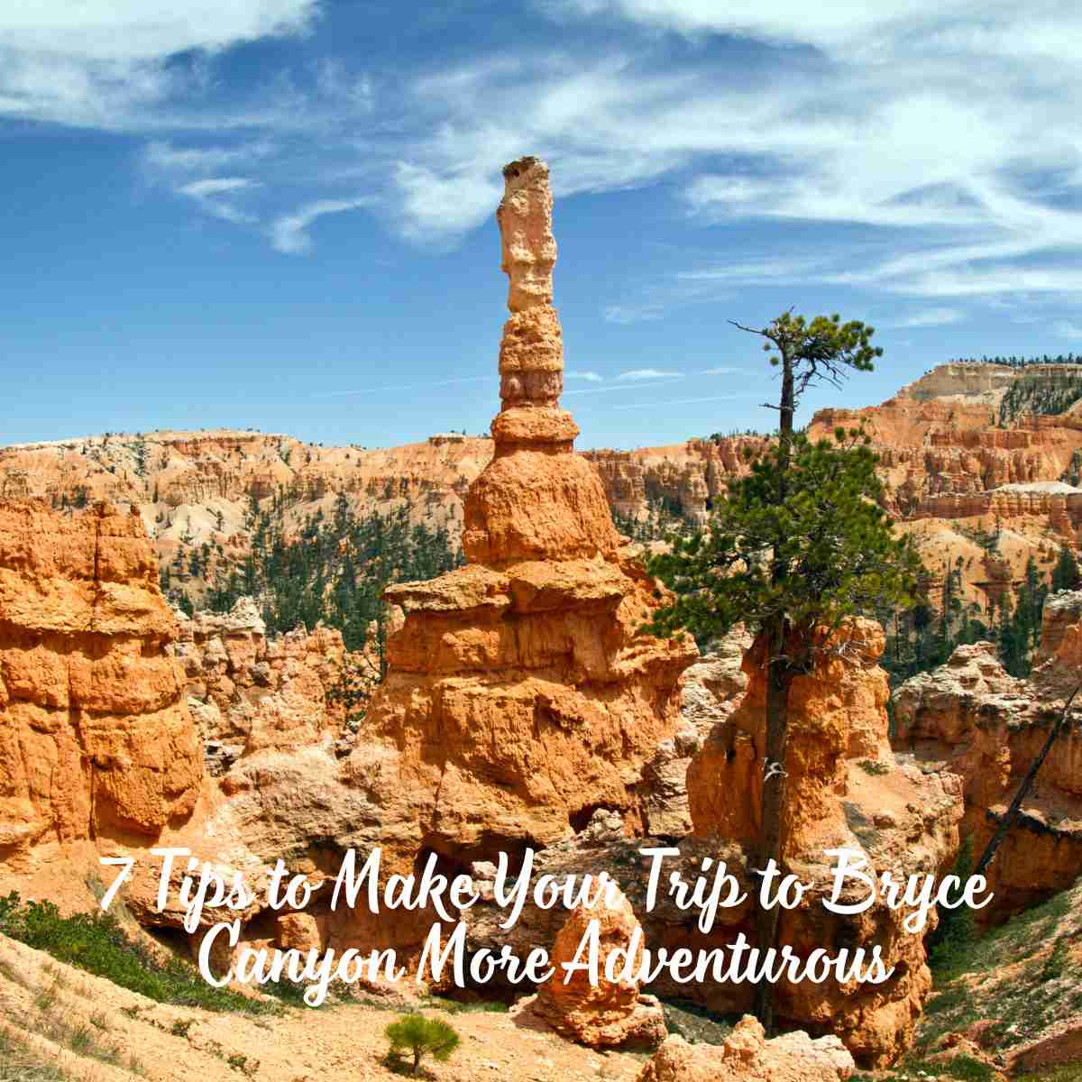 Trip to Bryce Canyon More Adventurous