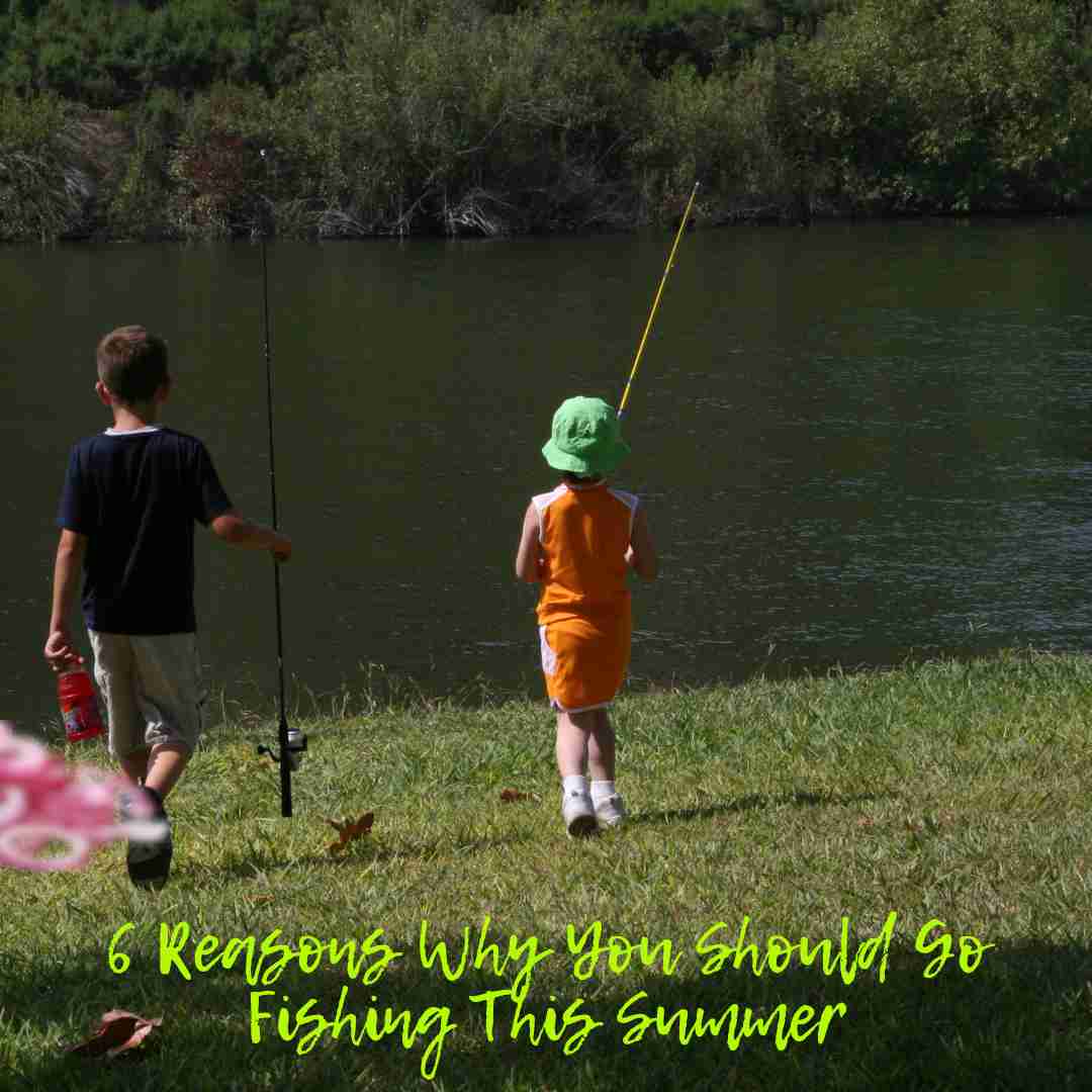 Why You Should Go Fishing This Summer